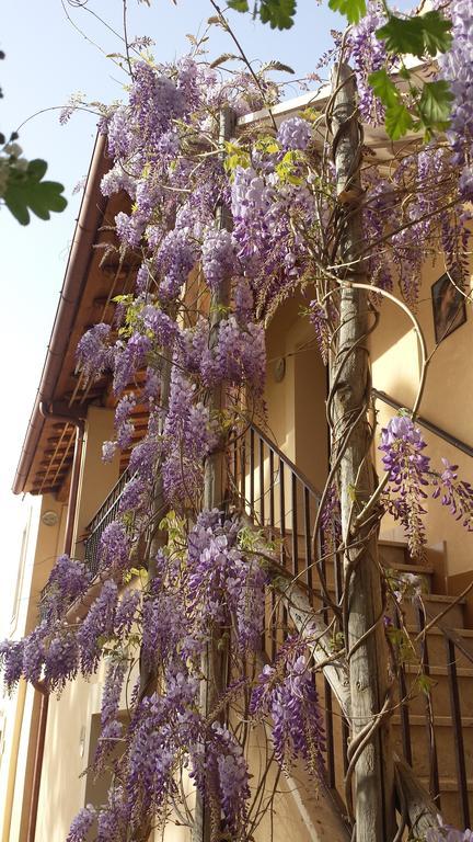 塔尔奎尼亚Agriturismo Casal Taccone公寓 外观 照片