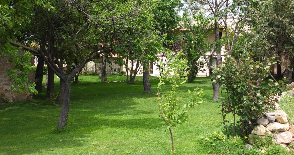 塔尔奎尼亚Agriturismo Casal Taccone公寓 外观 照片